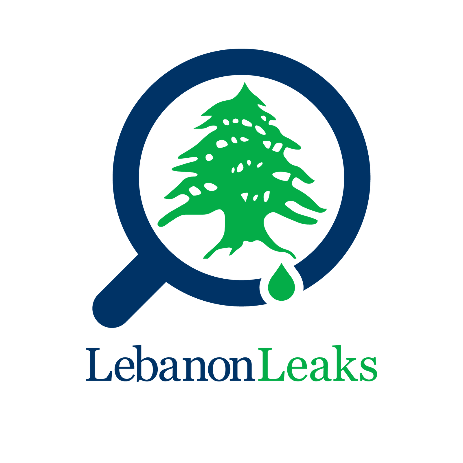 social media logo